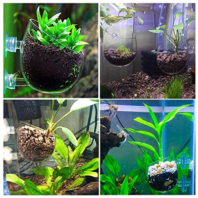 capetsma 2 x Glass Aquarium Plant Pot Aquatic Planter, Live Plants Aquarium Glashalter Aquascape Dekoration F¨¹R Fisch Tank