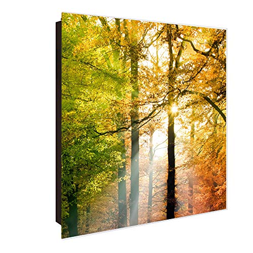 banjado® Großer Schlüsselkasten aus Glas - Schlüsselbox 30cm x 30cm mit 50 Haken - Motiv Herbstwald - Schlüsselschrank für Schlüsselaufbewahrung mit beschreibbarer Glastür als Magnettafel nutzbar