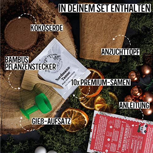 Weihnachtsbaum Anzucht Set I tolle Geschenk-Idee für Weihnachtsgeschenke, Wichtelgeschenke Weihnachten, Nikolausgeschenke und Garten Geschenke I Weihnachtsbaum aus der Dose I Pflanzset inkl. Zubehör