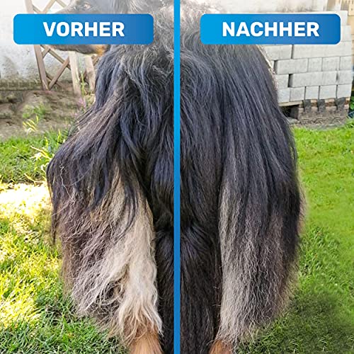 Bluepet® UnterwollToll Hundebürste & Katzenbürste für langhaar | Unterwollkamm entfernt Unterwolle & Verfilzungen | Ausdünnen & Deckhaarschutz | Fellbürste Größe M-L blau