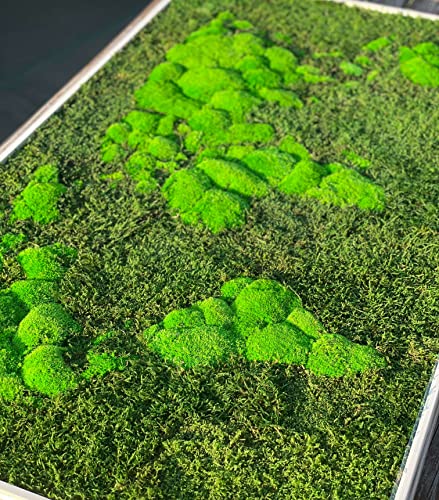 3D Moss World Gerahmte Karte - stabilisiertes Naturwaldmoos und nordische Flechten - Wanddekoration Innendekoration (112x65cm, grünes Moos - schwarzer Holzrahmen)